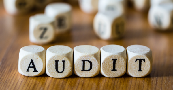 Preliminary Testing Audits of PBJ Data