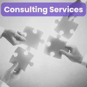 CONSULTING services