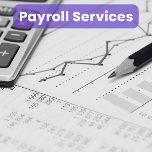 PAYROLL services